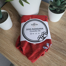 Load image into Gallery viewer, Christmas Snowflakes Tie Up Dog Bandana Set (Small)