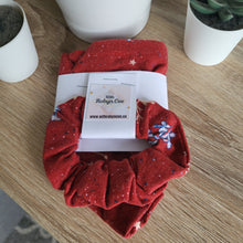 Load image into Gallery viewer, Christmas Snowflakes Tie Up Dog Bandana Set (Small)