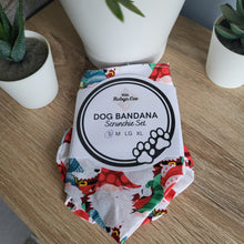 Load image into Gallery viewer, Gnomes Tie Up Dog Bandana Set (Small)