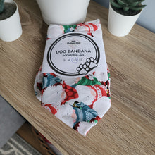 Load image into Gallery viewer, Gnomes Tie Up Dog Bandana Set (Large)