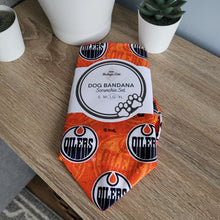 Load image into Gallery viewer, Hockey Tie Up Dog Bandana Set (Large)