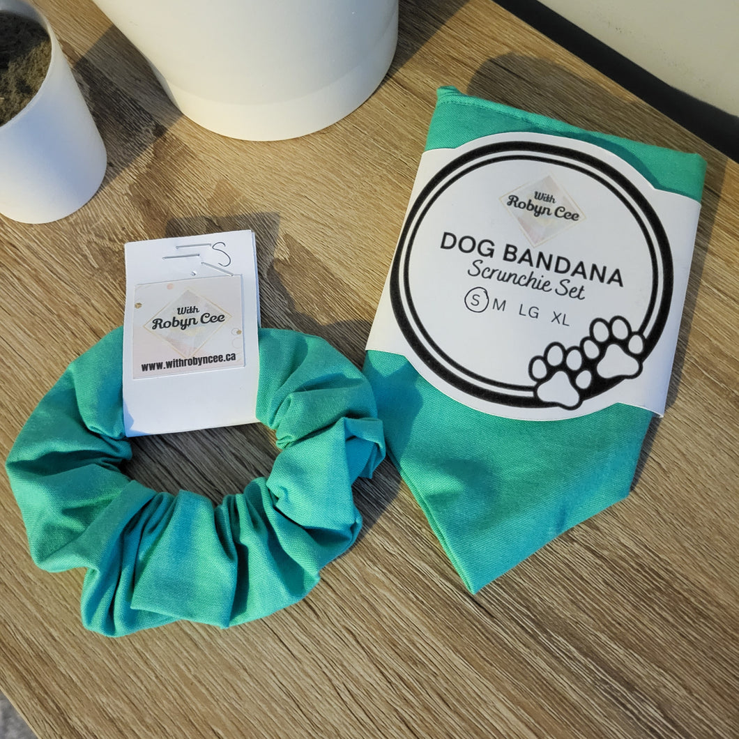 Mint Green Tie Up Dog Bandana Set (Small)
