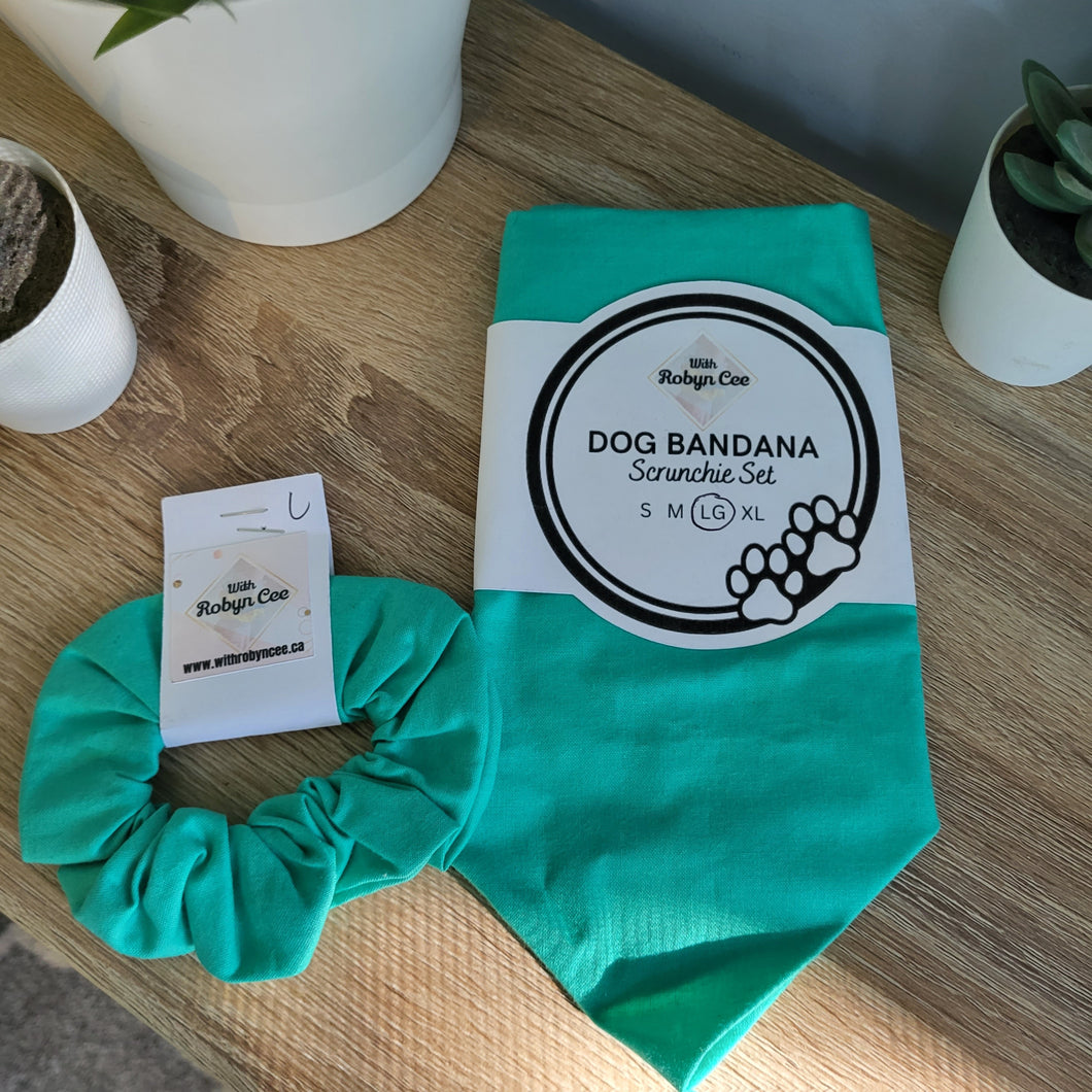 Mint Green Dog Bandana Set (Large)