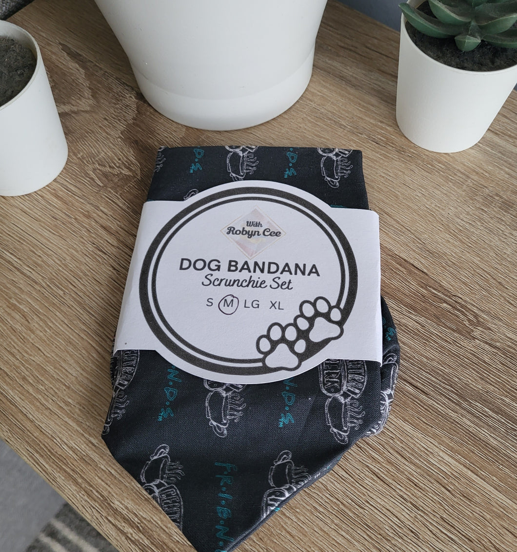Friends Grey Central Perk Tie Up Dog Bandana Set (Medium)