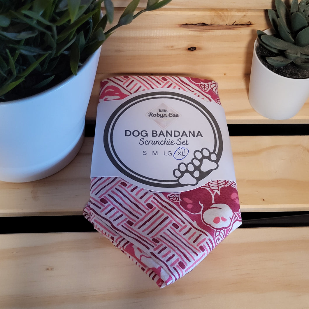 Pink & White Tie Up Dog Bandana Set (XL)