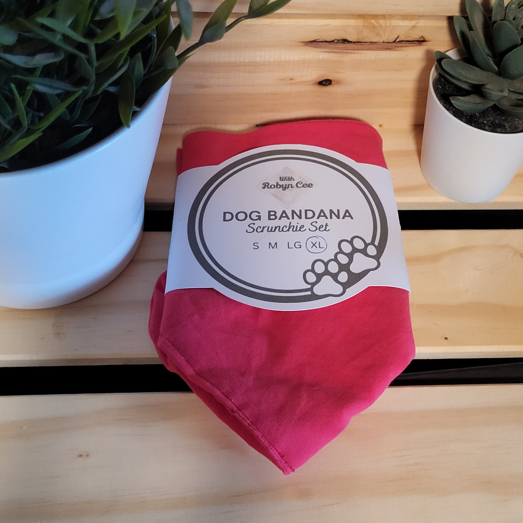 Red Tie Up Dog Bandana Set (XL)