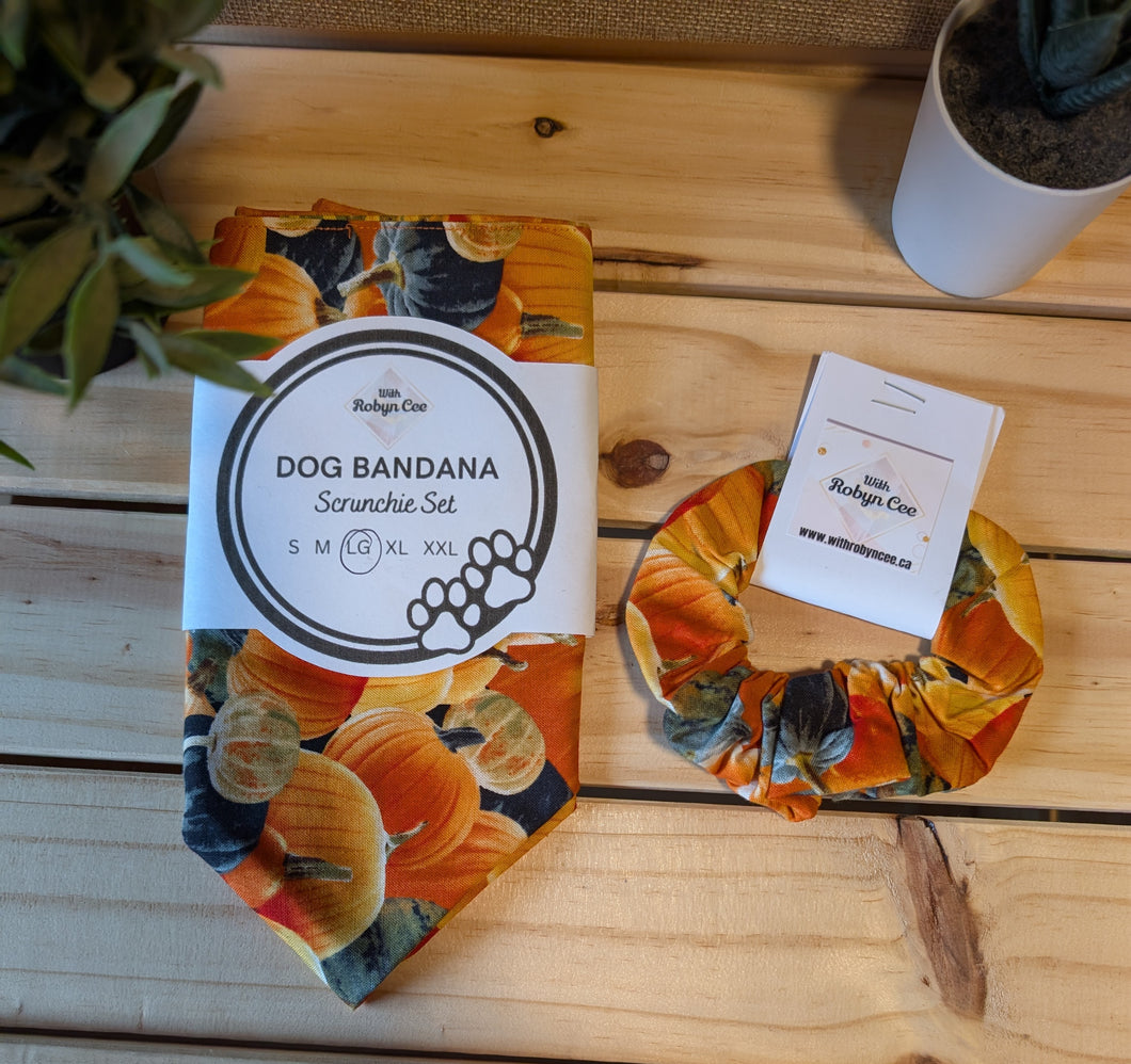 Pumpkin Tie Up Dog Bandana Set (Large)
