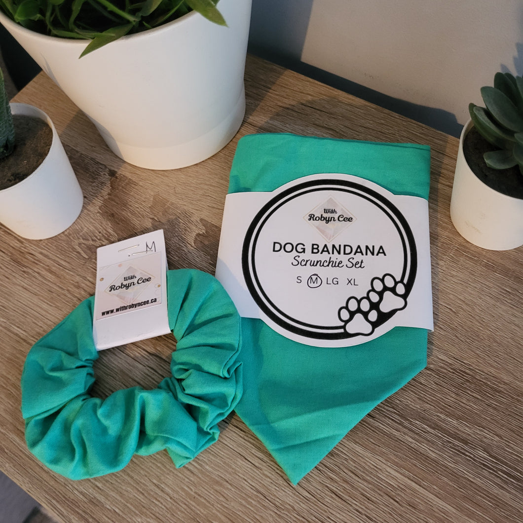 Mint Green Dog Bandana Set (Medium)