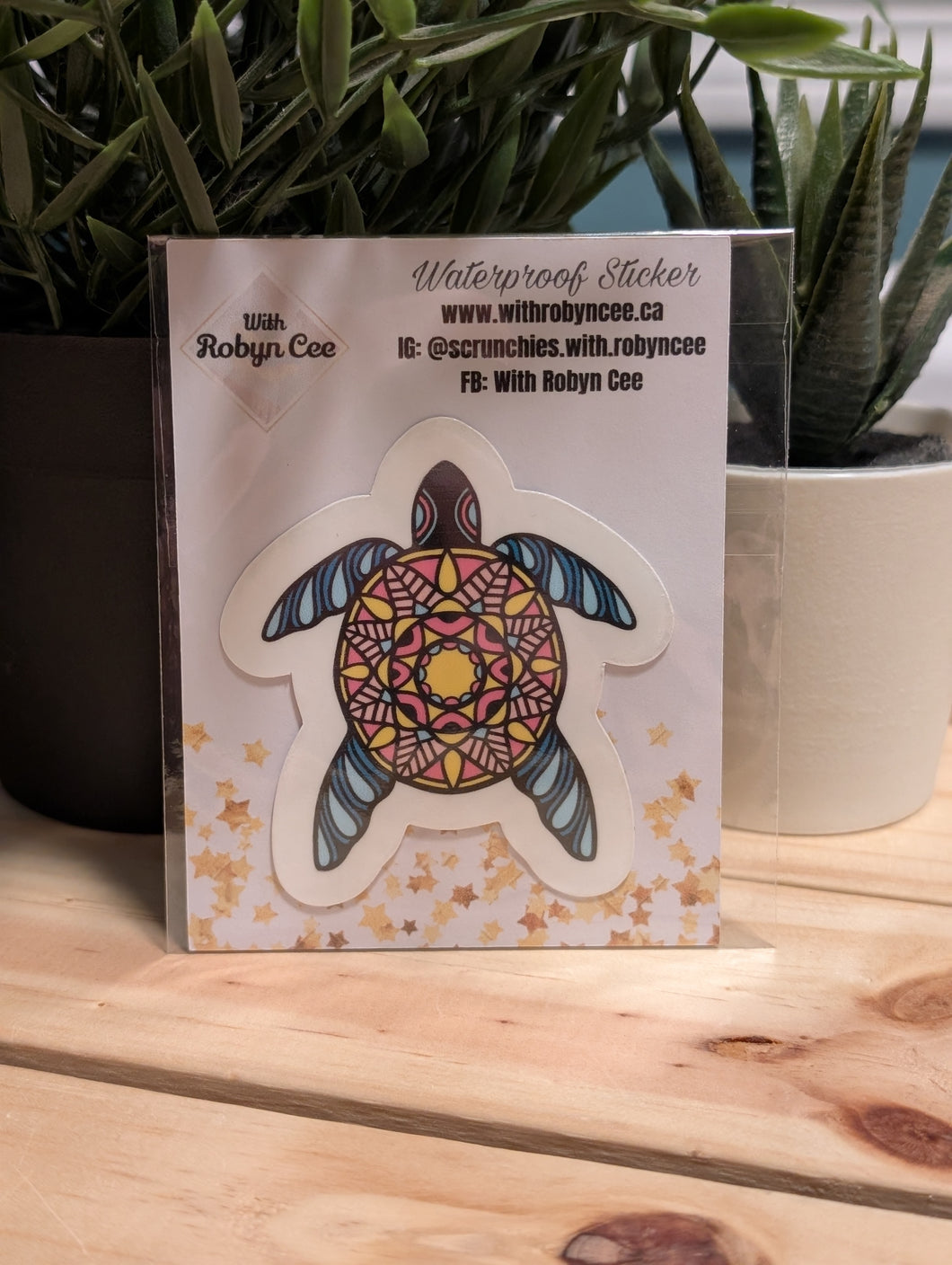 Colourful Turtle Sticker