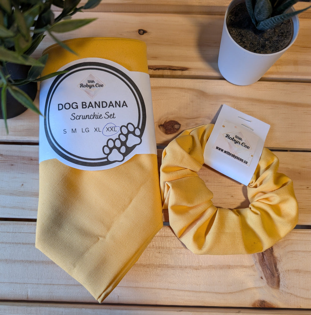 Yellow Tie Up Dog Bandana Set (XXL)